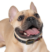 Load image into Gallery viewer, Gordon Airport MAVERICK Dog Collar