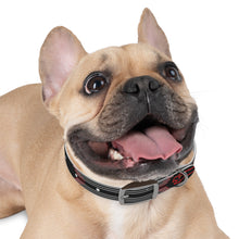 Load image into Gallery viewer, Gordon Airport MAVERICK Dog Collar