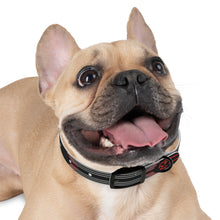 Load image into Gallery viewer, Gordon Airport MAVERICK Dog Collar